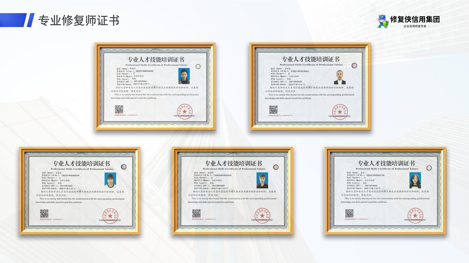 专业修复师证书资料展示